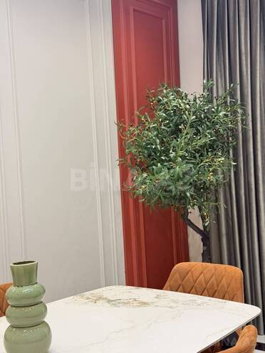 Продаётся 4-комн. новостройка 208 м², Насиминский  р., photo 24 from 29