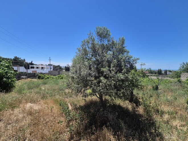 Satılır  torpaq 18.5 sot, Bilgəh q., photo 23 from 25