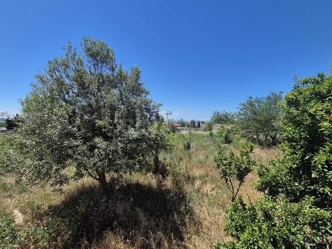 Satılır  torpaq 18.5 sot, Bilgəh q., photo 24 from 25