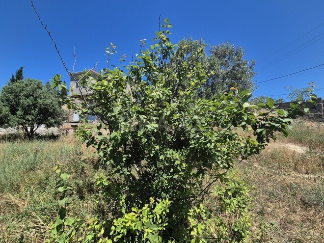 Satılır  torpaq 18.5 sot, Bilgəh q., photo 22 from 25