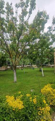 Satılır 7 otaqlı həyət evi/bağ evi 500 m², Nabran r., photo 12 from 28