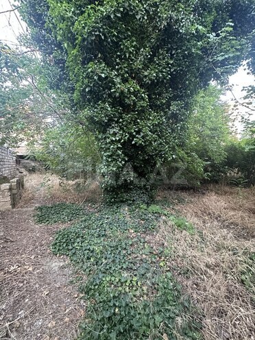 Satılır  torpaq 4 sot, Nərimanov r., photo 4 from 6