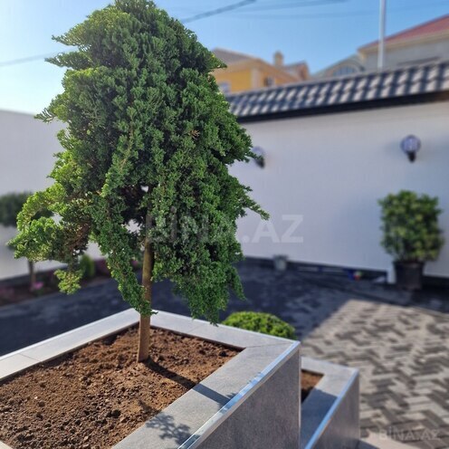 Satılır 7 otaqlı həyət evi/bağ evi 450 m², Badamdar q., photo 12 from 32