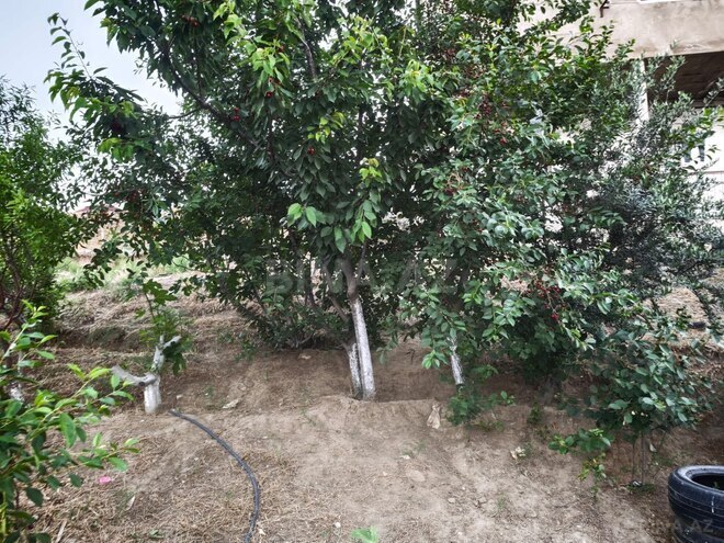 Продаётся 6-комн. дом/дача 120 м², Бинагадинский р., photo 25 from 32
