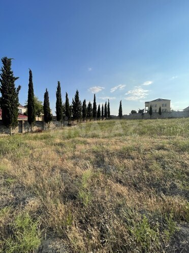 Satılır  torpaq 50 sot, Novxanı q., photo 1 from 9