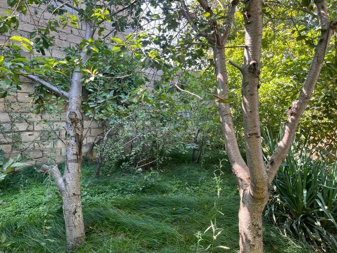 Satılır 4 otaqlı həyət evi/bağ evi 100 m², Masazır q., photo 22 from 23