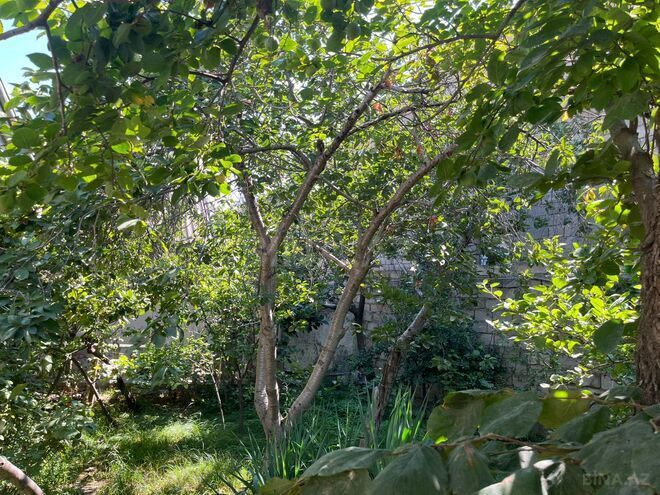 Satılır 4 otaqlı həyət evi/bağ evi 100 m², Masazır q., photo 20 from 23