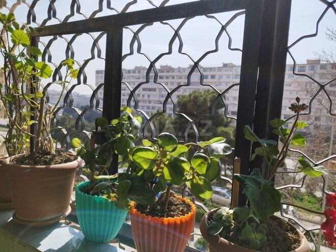 Сдаётся 3-комн. вторичка 80 м², м. Халглар Достлугу, photo 18 from 24