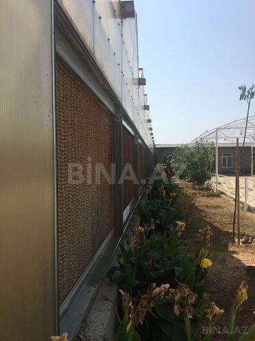 Satılır  obyekt 1 500 m², Türkan q., photo 6 from 17