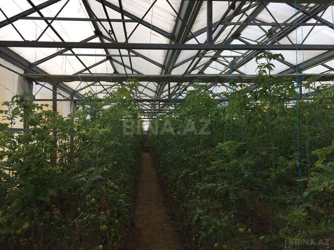 Satılır  obyekt 1 500 m², Türkan q., photo 11 from 17