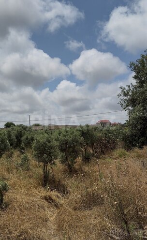 Satılır  torpaq 10 sot, Buzovna q., photo 3 from 4