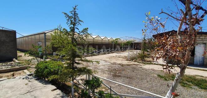 Satılır  obyekt 1 500 m², Türkan q., photo 3 from 17