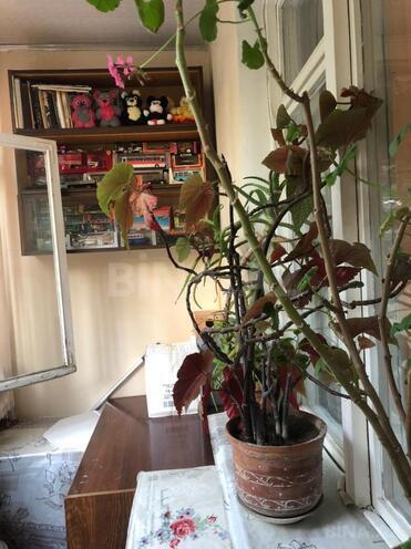 Satılır 3 otaqlı köhnə tikili 70 m², Memar Əcəmi m., photo 12 from 14