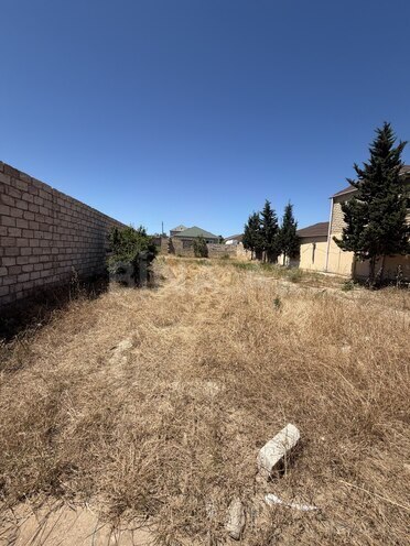 Satılır  torpaq 6 sot, Albalılıq q., photo 3 from 4