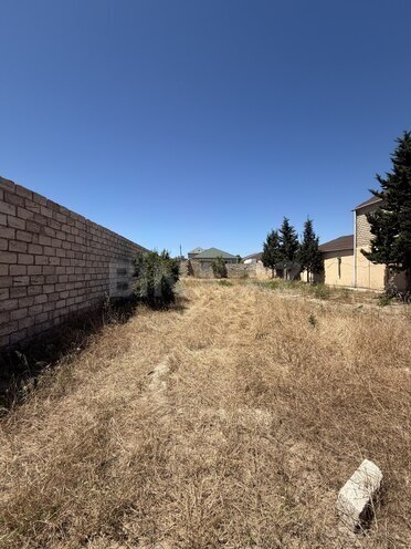 Satılır  torpaq 6 sot, Albalılıq q., photo 1 from 4