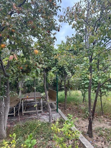 Satılır 3 otaqlı həyət evi/bağ evi 100 m², Ramana q., photo 10 from 13