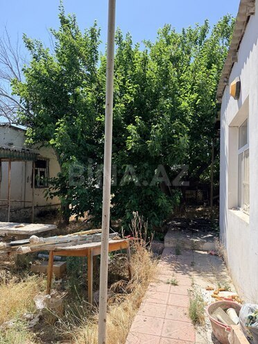 Продаётся  участок 14 сот, пос. Мардакан, photo 7 from 10