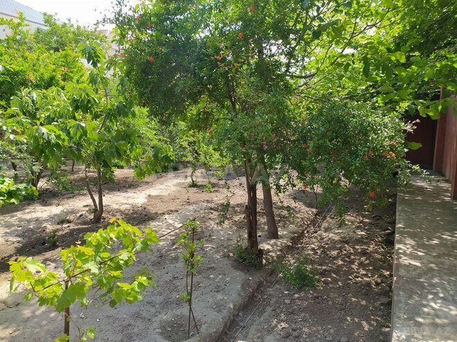Продаётся 11-комн. дом/дача 300 м², м. Кара Караев, photo 17 from 20