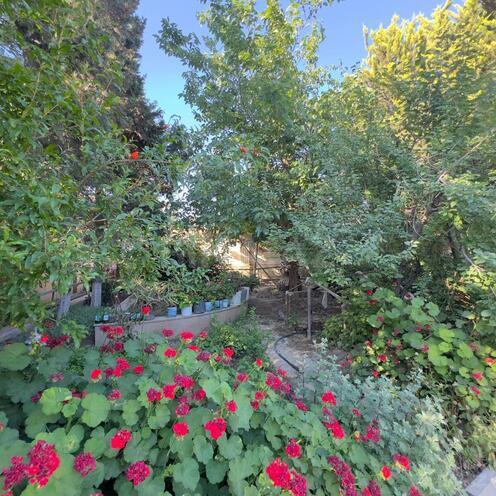 Satılır 7 otaqlı həyət evi/bağ evi 600 m², Şüvəlan q., photo 11 from 31
