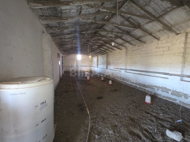 Satılır  obyekt 40 m², Maştağa q., photo 3 from 23