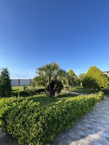 İcarəyə verilir 8 otaqlı həyət evi/bağ evi 800 m², Bilgəh q., photo 10 from 32