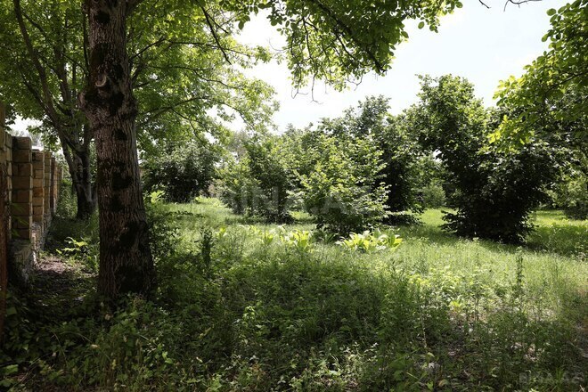 Продаётся  участок 69 сот, photo 3 from 27