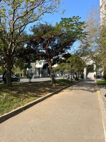 Satılır  obyekt 120 m², Azadlıq Prospekti m., photo 1 from 26