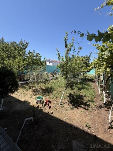 Satılır  torpaq 14 sot, Albalılıq q., photo 6 from 18