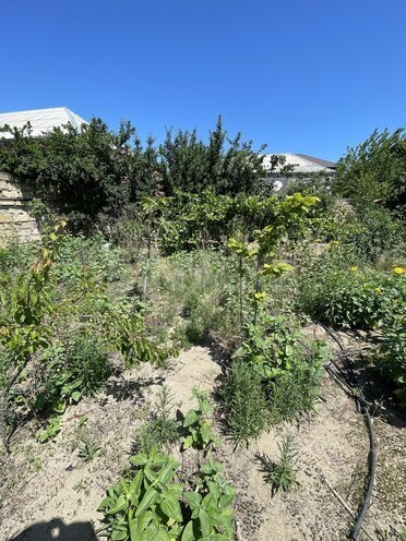 Satılır 5 otaqlı həyət evi/bağ evi 400 m², Novxanı q., photo 12 from 31