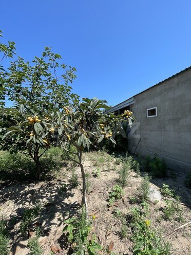 Satılır 5 otaqlı həyət evi/bağ evi 400 m², Novxanı q., photo 10 from 31