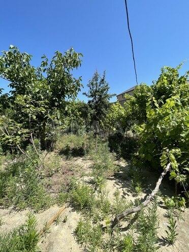 Satılır 5 otaqlı həyət evi/bağ evi 400 m², Novxanı q., photo 9 from 31
