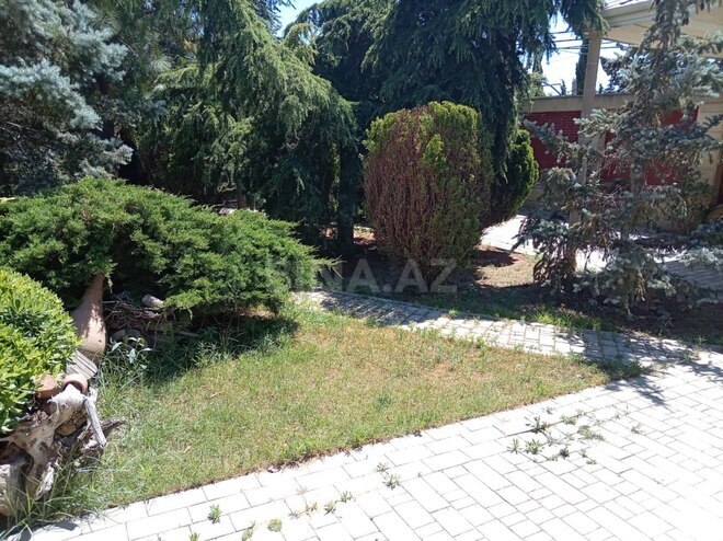 Satılır  torpaq 2 sot, Badamdar q., photo 6 from 8