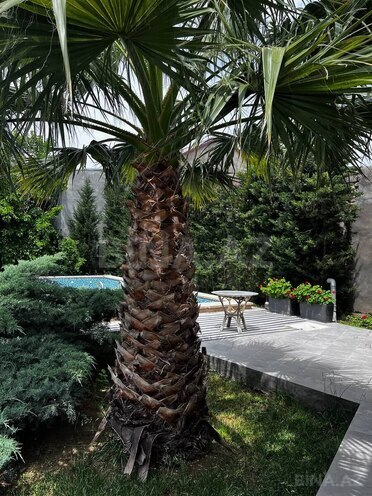 İcarəyə verilir 4 otaqlı həyət evi/bağ evi 210 m², Mərdəkan q., photo 12 from 14