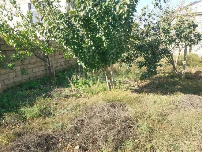 Продаётся 8-комн. дом/дача 350 м², пос. Мамедли, photo 4 from 27