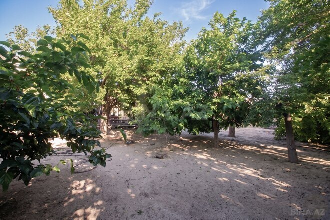 Satılır  torpaq 6.5 sot, Saray q., photo 5 from 14
