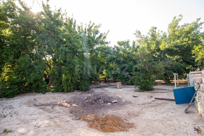 Satılır  torpaq 6.5 sot, Saray q., photo 9 from 14