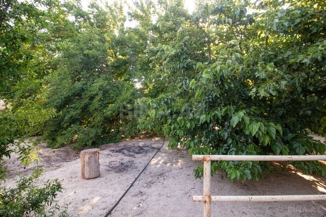 Satılır  torpaq 6.5 sot, Saray q., photo 10 from 14