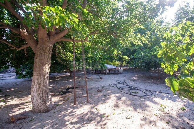 Satılır  torpaq 6.5 sot, Saray q., photo 6 from 14