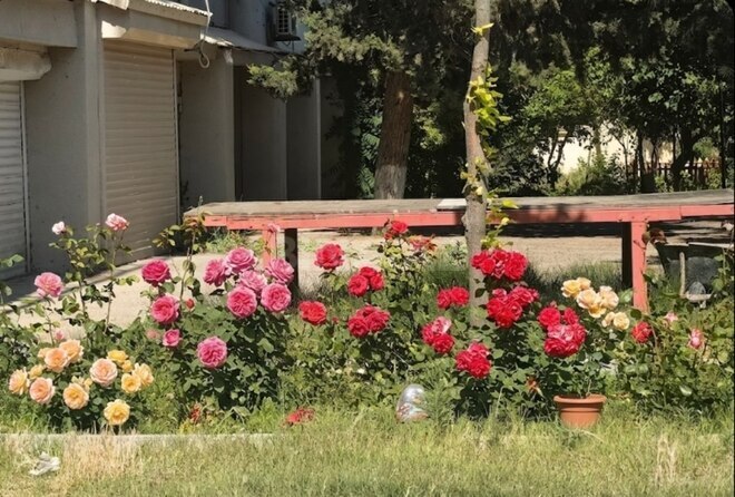 Продаётся 3-комн. вторичка 90 м², м. Шах Исмаил Хатаи, photo 5 from 32