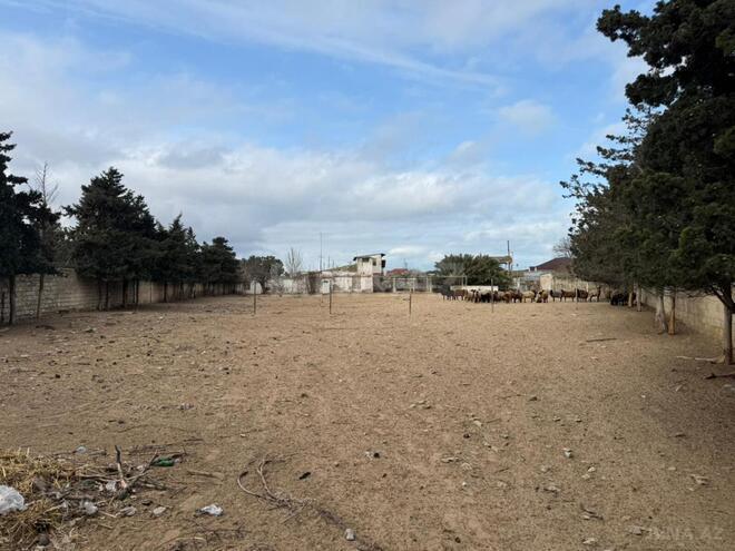 Satılır 4 otaqlı həyət evi/bağ evi 120 m², Buzovna q., photo 10 from 12