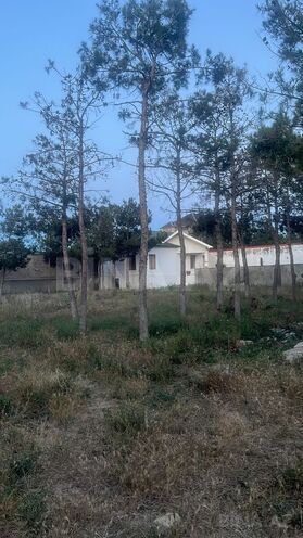 Продаётся  участок 17.5 сот, пос. Шувеляны, photo 5 from 6
