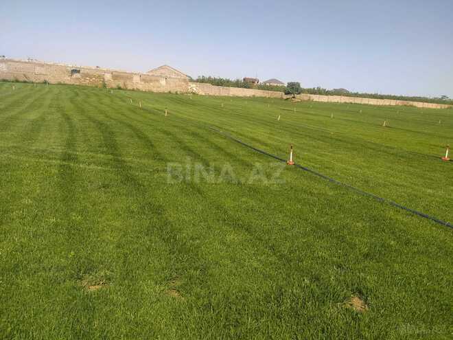 Satılır  torpaq 400 sot, Binə q., photo 8 from 11