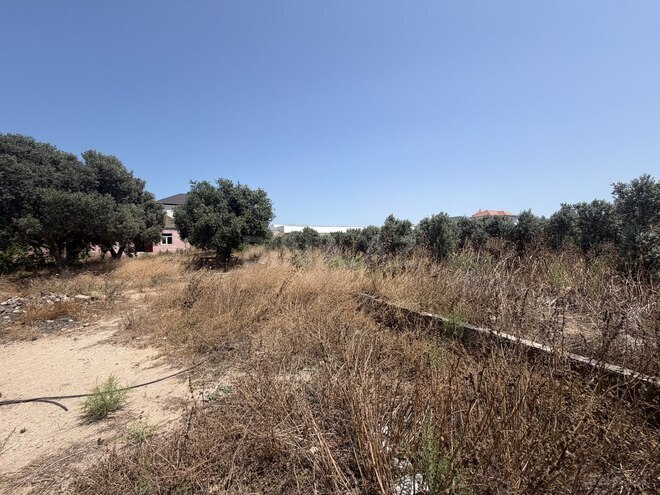 Satılır  torpaq 50 sot, Buzovna q., photo 6 from 7