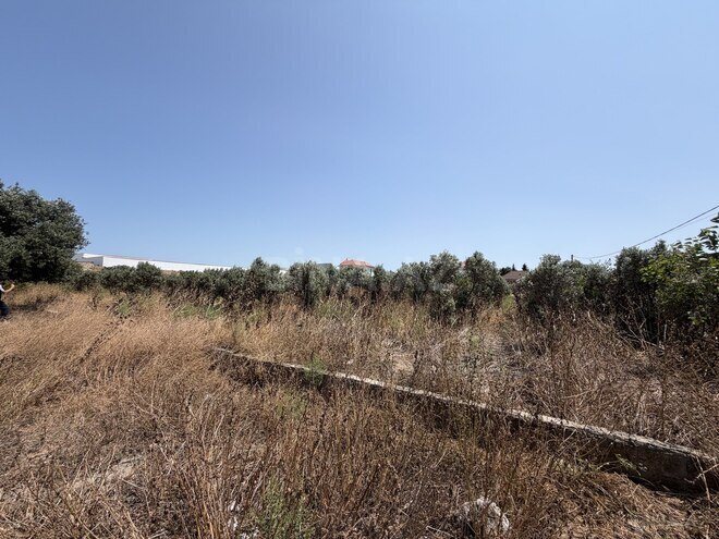 Satılır  torpaq 50 sot, Buzovna q., photo 1 from 7