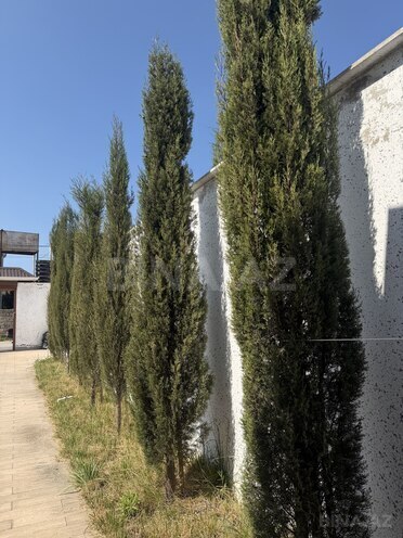 Satılır 4 otaqlı həyət evi/bağ evi 134 m², Albalılıq q., photo 3 from 16