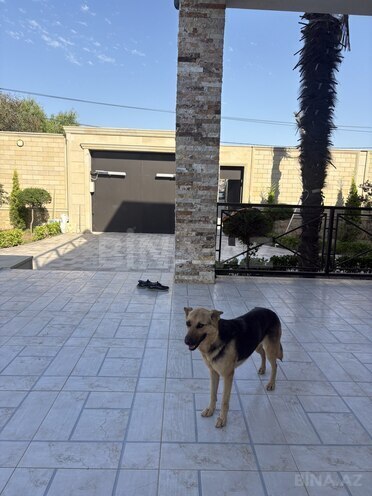 Satılır 5 otaqlı həyət evi/bağ evi 240 m², Mərdəkan q., photo 24 from 27