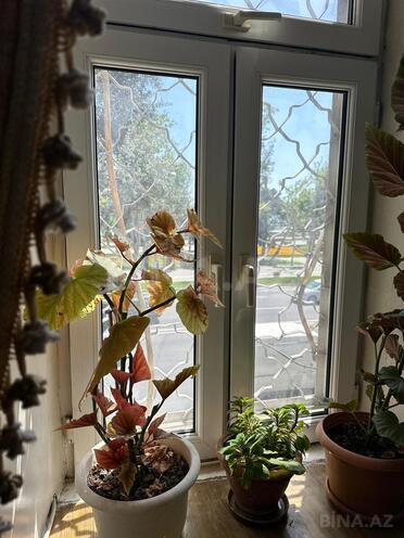 Продаётся 3-комн. вторичка 130 м², м. Ичеришехер, photo 26 from 28
