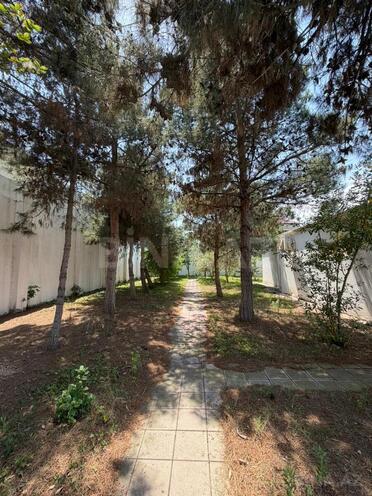 Продаётся 4-комн. дом/дача 200 м², пос. Мардакан, photo 23 from 25