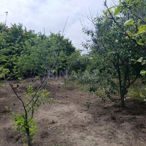 Satılır  torpaq 6 sot, Bilgəh q., photo 1 from 5