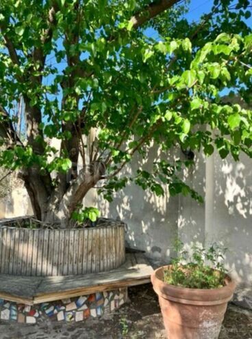 Satılır 3 otaqlı həyət evi/bağ evi 200 m², Pirşağı q., photo 3 from 31